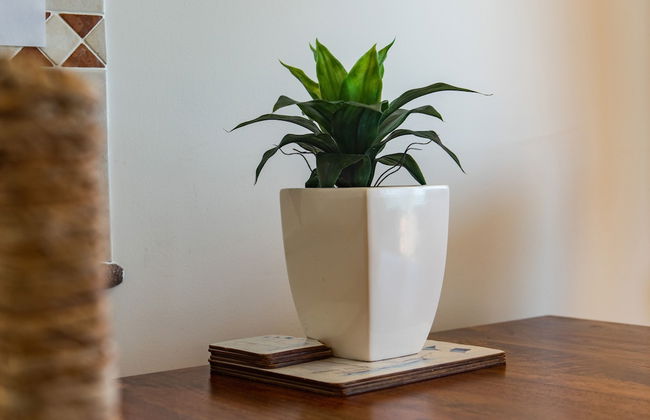 Airlie Dream - Photo 17