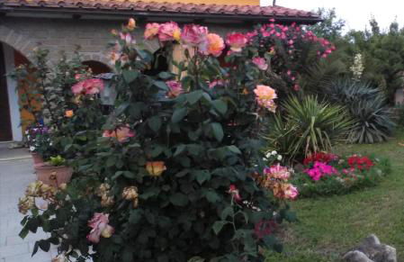 La casetta di samba - Foto 1