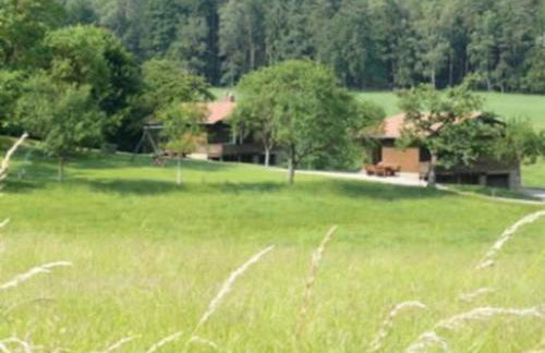 1 Siefertshof Comfortable Holiday Residence - Foto 13