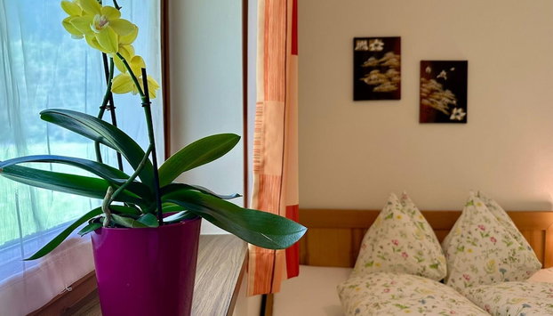 Apartment in Saalfelden am Steinernen Meer - Photo 3, Chambre