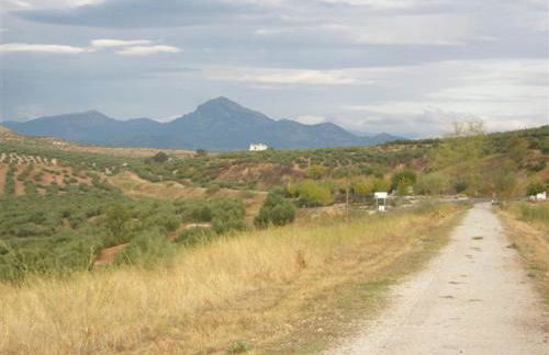 Agroturismo Ecologico el Cortijillo - Foto 39