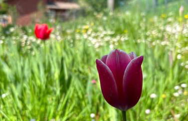 Villino Cecchini - Foto 45