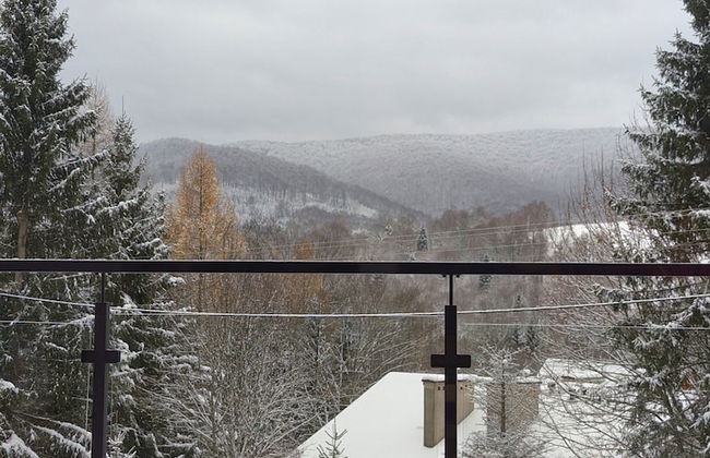 Korona Bieszczad Premium Apartments - Foto 56