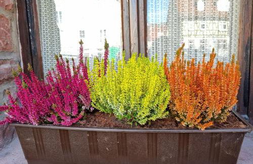 Alte Schmiede - Foto 9