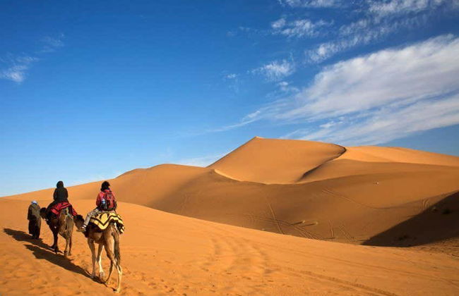 Balade à dos de chameau et nuit dans le désert - Photo 1