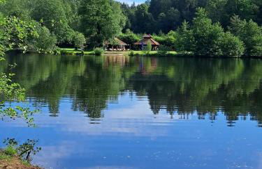 Wasgauer Felsen und Seenland - Foto 1