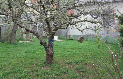 Ferienhaus Dorfglück Bischof 97633 Sulzfeld-Leinach - Foto 13