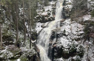 Polana Gorska Mirsk - Photo 36