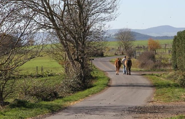 Appartement Au bon Gré d'Hugoline - Foto 41