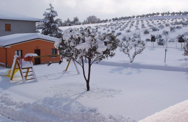 Agriturismo Le Bucoliche - Foto 53