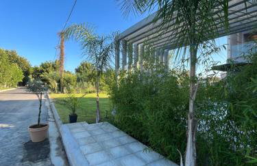 Grand Kourouta - Foto 14