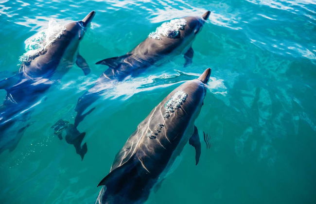 Key West Full-Day Trip - Foto 2