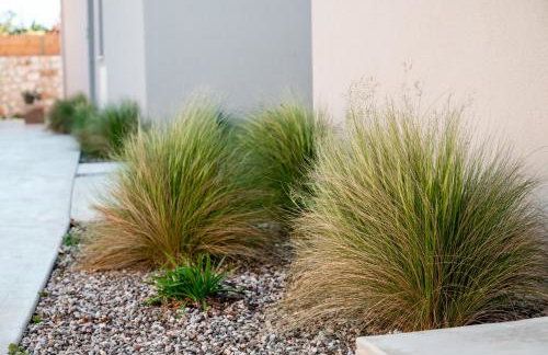 Acacia - Explore your senses - Foto 37