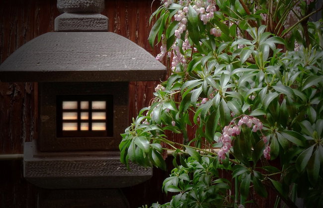 Machiya Kaemon Kyoto-sta. - Foto 33