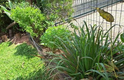 Casa Aconchegante e Inteligente na Cachoeira - Foto 58