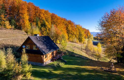 Chata na Kowalówkach - domek w górach - blisko szlaków i wyciągu - Foto 4