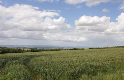 Primrose Cottage - Foto 37