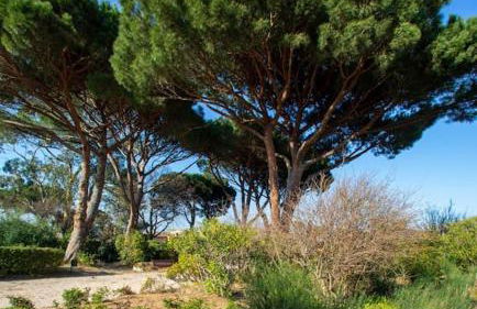 Appartement entièrement rénové avec Terrasse - Foto 20