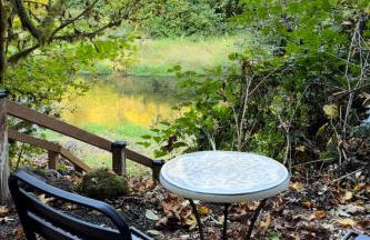 Enchanted Hollow- Cozy, Romantic Woodland Getaway - Photo 7