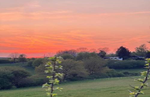 Bungalow auf dem Campingpark Waxweiler - Foto 30