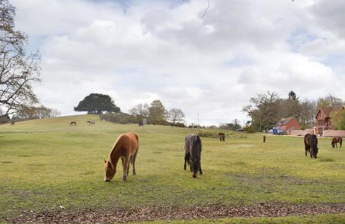 Lantern Cottage - Photo 17