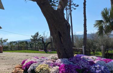 Casa Vacanza Capozzoli - Foto 1