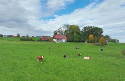 5Sterne Ferienwohnung im Fachwerk mit Bergblick in Alleinlage und großem Garten, Infrarotkabine - Foto 66