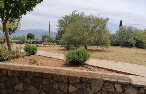 Stone Villa Maria - Photo 59