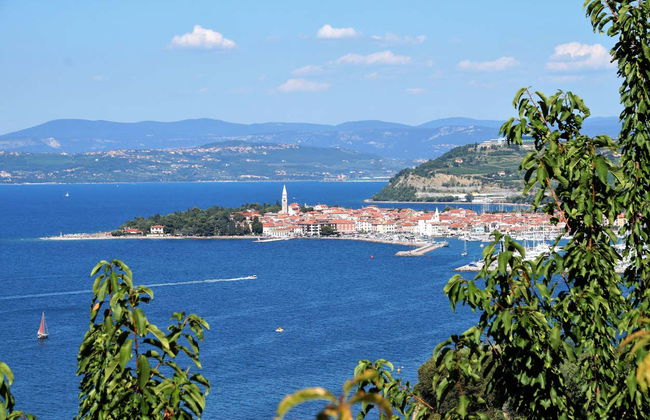 Piran, Portoroz & Izola Tour - Photo 2