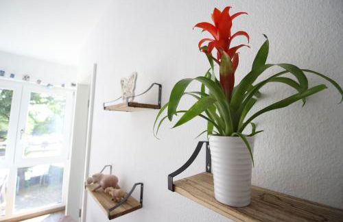 Gemütliches Apartment bei Köln - Foto 2