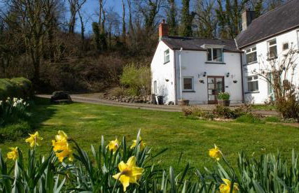 Cuckoo Springs Cottage Aberporth - Foto 14