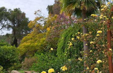 Casa de las Vistas - Photo 69