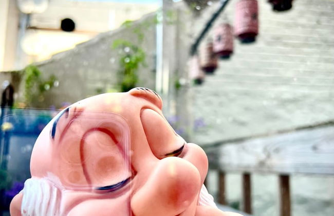 Agelandkaai.be - Photo 65