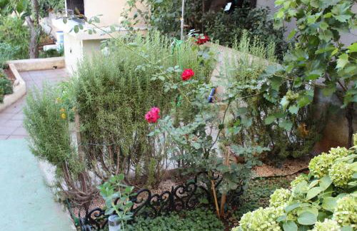 Apartments Miriam Srima - Foto 44