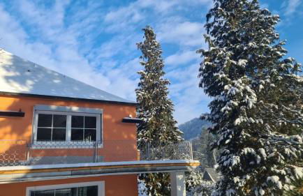 Waldhaus zum gechillten Hirsch in der Natur, bei der Moseltherme Traben-Trarbach - Foto 46