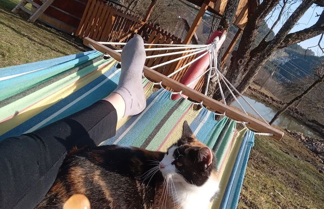 Room in Guest Room - Cozy Rural Retreat in Roşia Montana - Photo 49