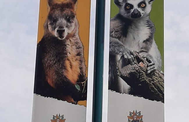 Stylish Holiday Home by the sea - Foto 31