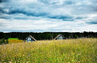 Czaplowisko - domki z sauną na Kaszubach - Foto 6