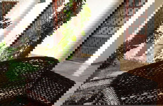 Hospedaria Cumbuco - Foto 16