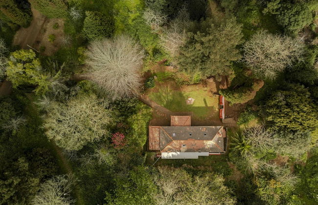 Surrounded by Nature - Casa da Cebola - Foto 31