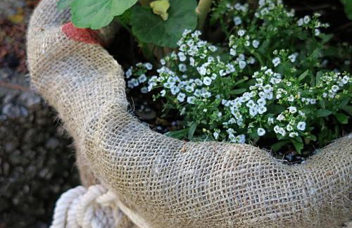 Apartments Vera - Comfort One-Bedroom Apartment with Terrace and Sea View Irena - Foto 17