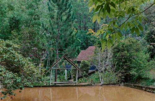 Sítio incrível 4Q c/ piscina e área de churrasco - Foto 10