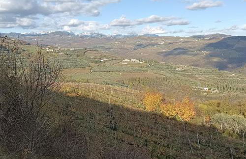 From the city to nature Mezzane di sotto VR pet-friendly - Foto 21