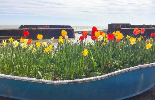 Harbour View - Photo 22