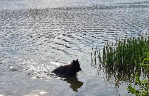 Domek de Janauis - Foto 70