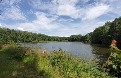 FeWo am Pochwerk-Badeteich - Foto 43