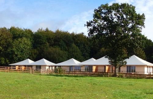 Oase Friedensthal - Foto 1