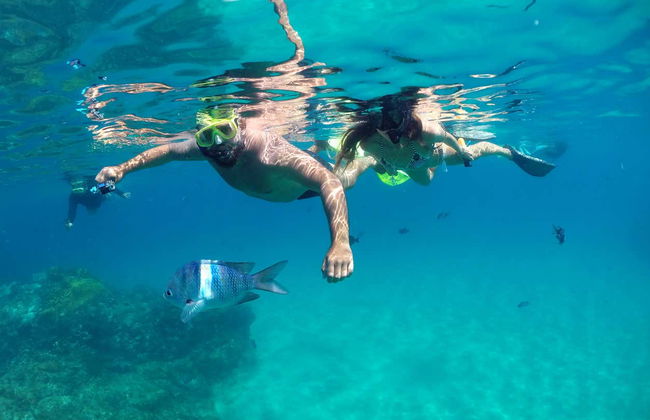 Snorkeling à Praia do Cachorro - Photo 3
