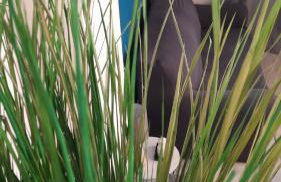 Casa Flamenca - Foto 27