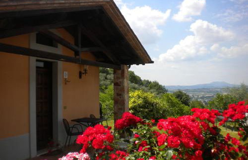 Agriturismo Poggio Degli Olivi - Guest House - Foto 138